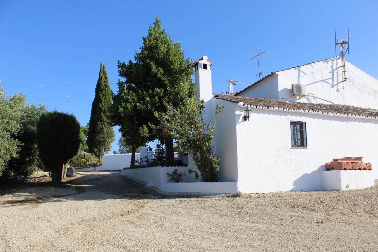 Casa Rural Faltriquera Setenil Setenil De Las Bodegas Εξωτερικό φωτογραφία