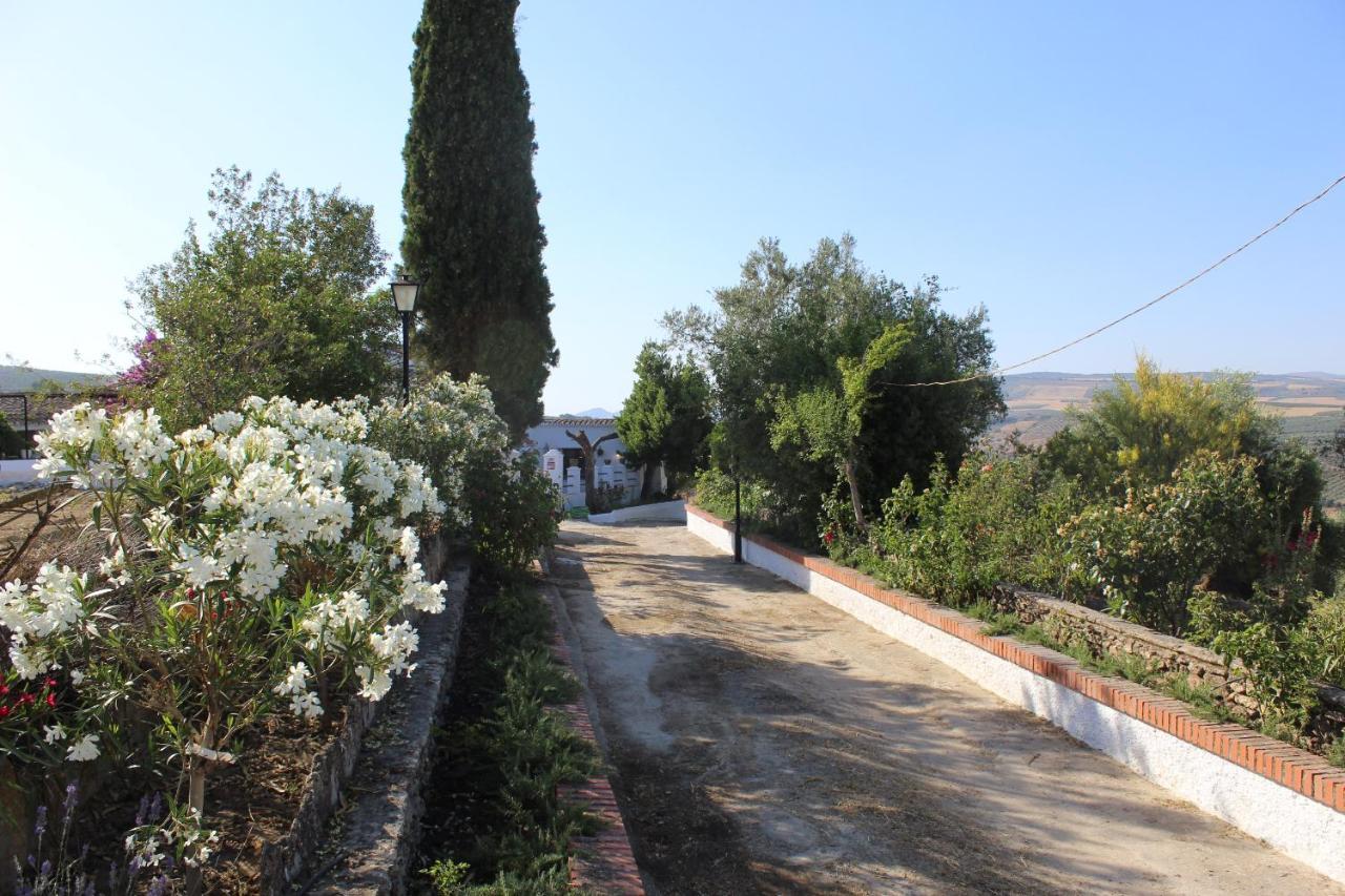 Casa Rural Faltriquera Setenil Setenil De Las Bodegas Εξωτερικό φωτογραφία