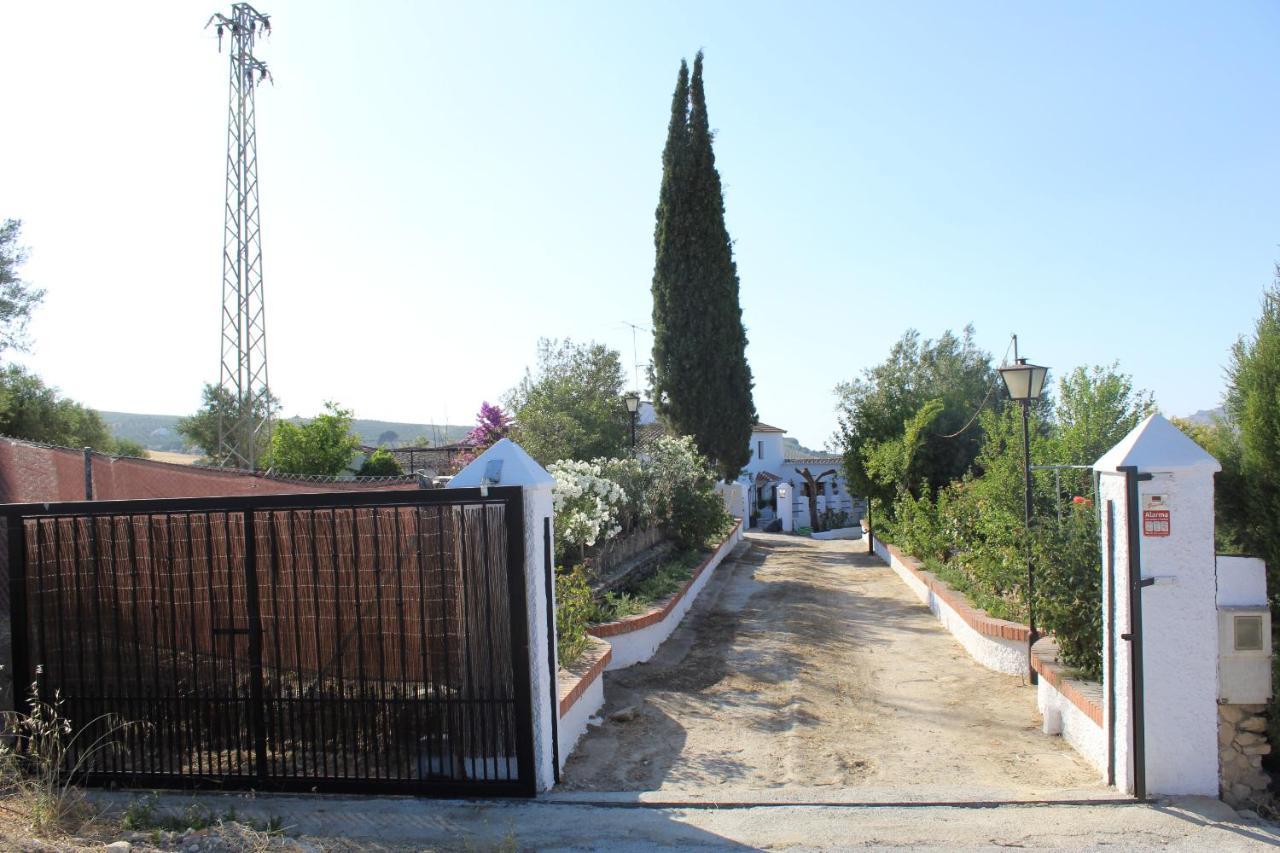 Casa Rural Faltriquera Setenil Setenil De Las Bodegas Εξωτερικό φωτογραφία