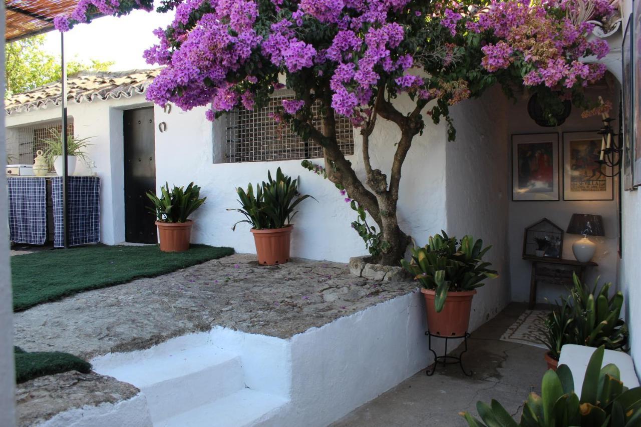 Casa Rural Faltriquera Setenil Setenil De Las Bodegas Εξωτερικό φωτογραφία